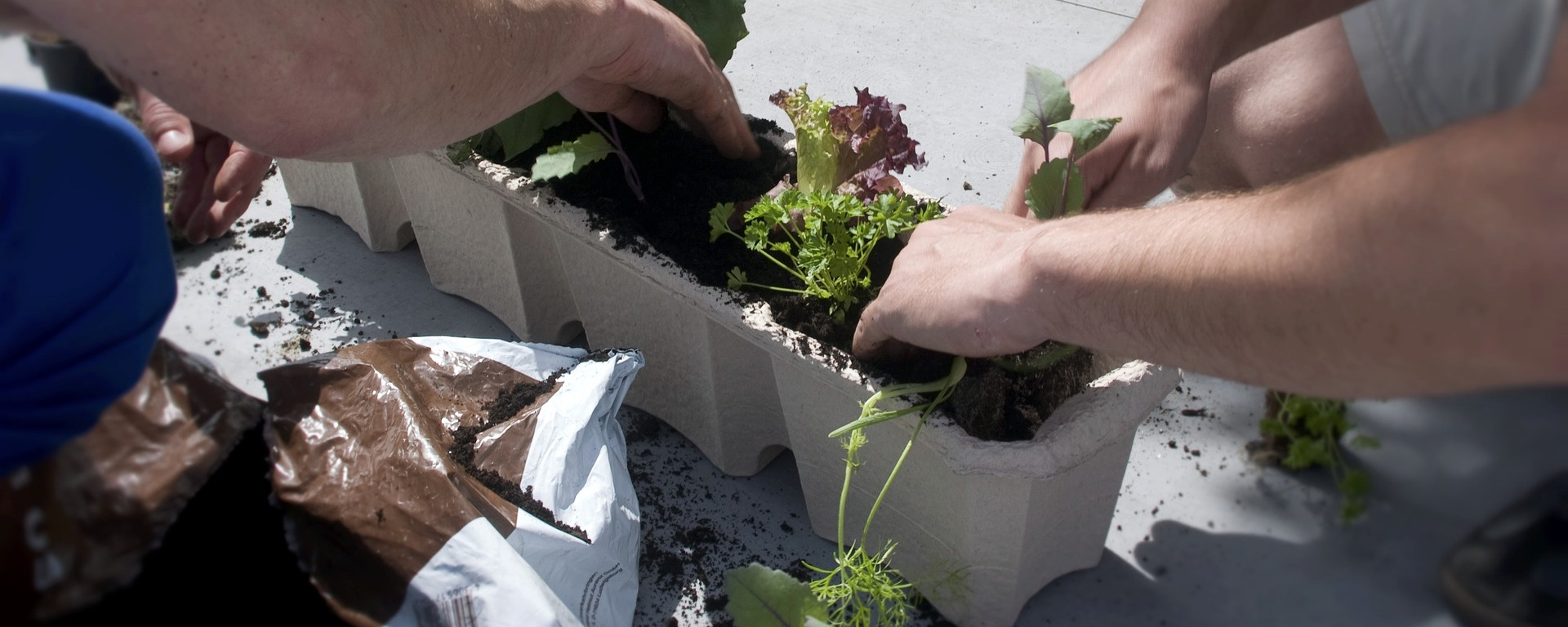 Indoor-gardening