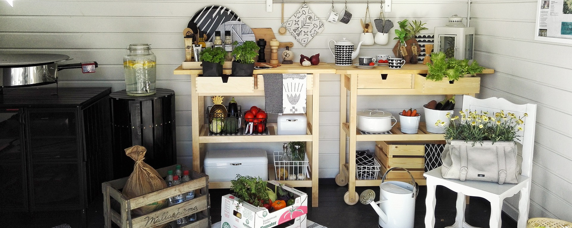 Indoor Veggie Garden